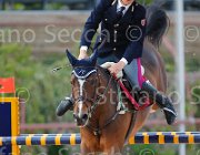 COATA L QUITE ItaAss2013- S5 1379 : COATA LUCA, Campionati Italiani 2013, Cattolica, Horse Riviera Resort, QUITE BEAUTY, foto di Stefano Secchi ©